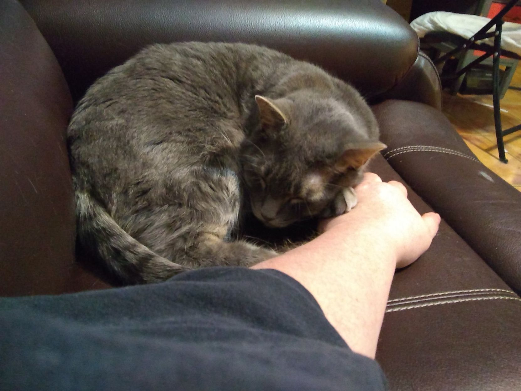 Readers pet photos